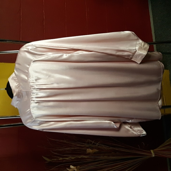 Maggie Lawrence Light Pink Blouse - Picture 4 of 7